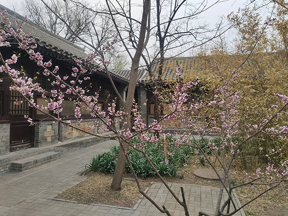 老式四合院